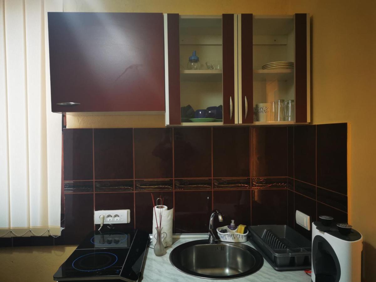 Apartmani La Grande Motte Vrdnik Ngoại thất bức ảnh