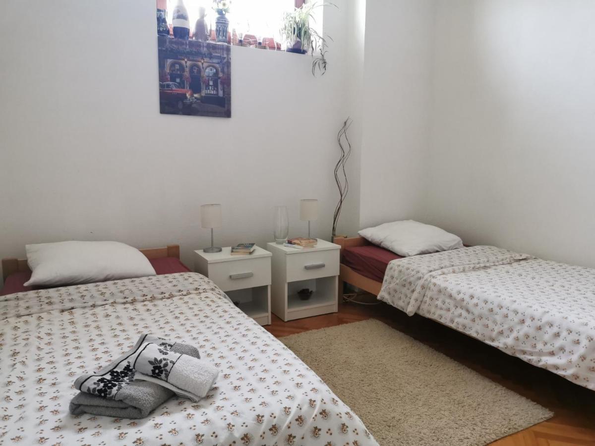 Apartmani La Grande Motte Vrdnik Ngoại thất bức ảnh